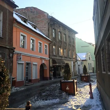 Tampa Hill Apartment