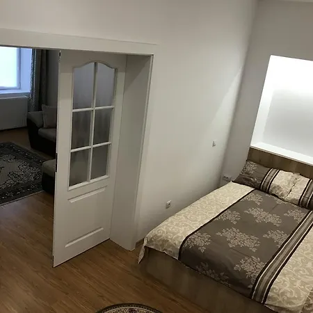 Tampa Hill Apartment *